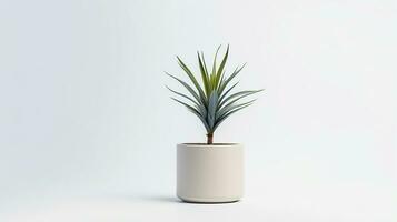 Photo of Yucca flower in pot isolated on white background. Generative AI