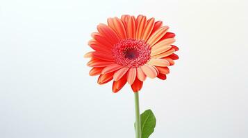 foto de hermosa gerbera flor aislado en blanco antecedentes. generativo ai