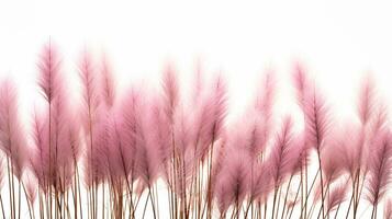 Fountain Grass flower patterned background. Flower texture background. Generative AI photo