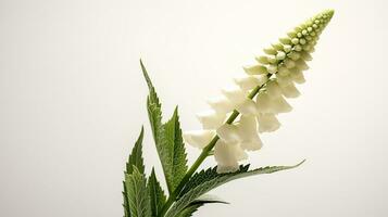 foto de hermosa digital flor aislado en blanco antecedentes. generativo ai