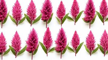 Celosia flower patterned background. Flower texture background. Generative AI photo