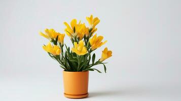 Photo of Freesia flower in pot isolated on white background. Generative AI