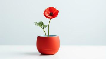 Photo of Poppy flower in pot isolated on white background. Generative AI