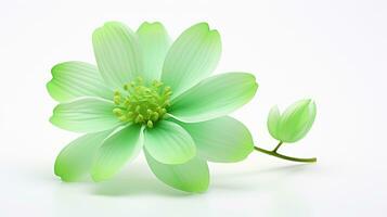 Photo of beautiful Chrysopsis flower isolated on white background. Generative AI