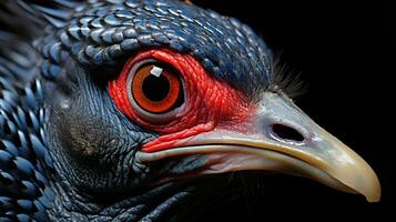 Close-up photo of a Guineafowl looking any direction. Generative AI