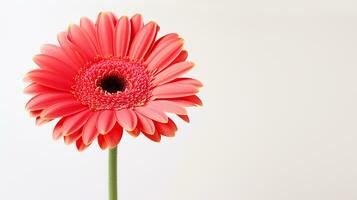 foto de hermosa gerbera flor aislado en blanco antecedentes. generativo ai