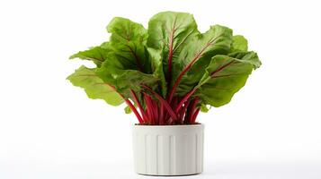 Photo of Swiss Chard flower in pot isolated on white background. Generative AI