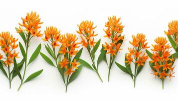 Butterfly Weed flower pattern background. Flower background texture. Generative AI photo