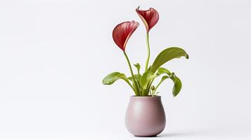 Photo of Pitcher Plant flower in pot isolated on white background. Generative AI