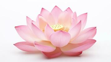 Photo of beautiful Lotus flower isolated on white background. Generative AI