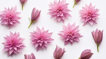 Bee Balm flower pattern background. Bee Balm flower background texture. Generative AI photo