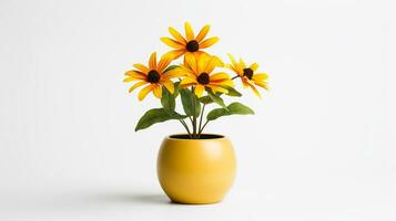 Photo of Rudbeckia flower in pot isolated on white background. Generative AI