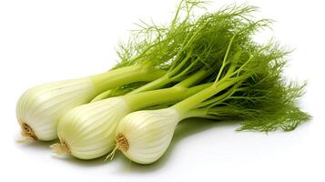 Photo of Fennel isolated on white background. generative ai