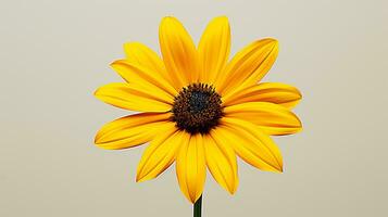 Photo of beautiful Rudbeckia flower isolated on white background. Generative AI