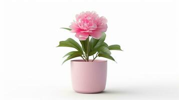 Photo of Peony flower in pot isolated on white background. Generative AI