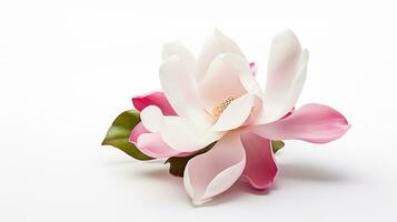 Photo of beautiful Magnolia flower isolated on white background. Generative AI