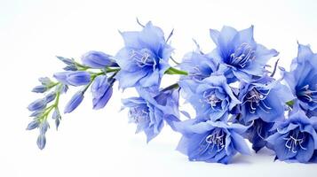 Photo of beautiful Delphinium flower isolated on white background. Generative AI