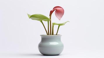 Photo of Pitcher Plant flower in pot isolated on white background. Generative AI