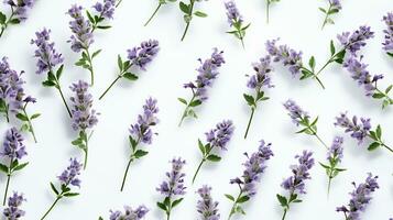 Catmint flower patterned background. Flower texture background. Generative AI photo