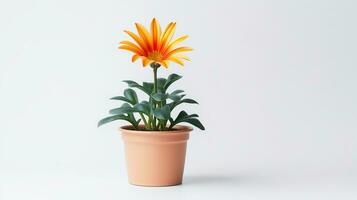 foto de gazania flor en maceta aislado en blanco antecedentes. generativo ai