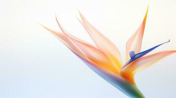 Photo of beautiful Strelitzia flower isolated on white background. Generative AI