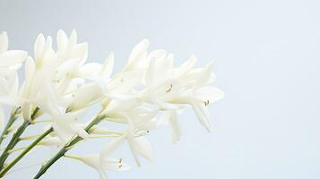 foto de hermosa yuca flor aislado en blanco antecedentes. generativo ai
