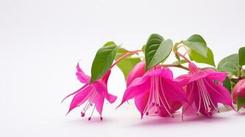 foto de hermosa fucsia flor aislado en blanco antecedentes. generativo ai