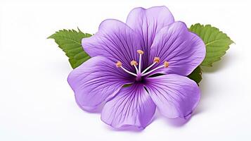 foto de hermosa Violeta flor aislado en blanco antecedentes. generativo ai