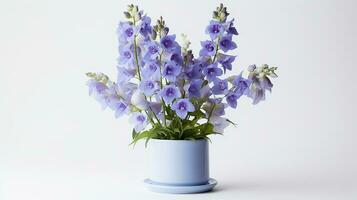 Photo of Delphinium flower in pot isolated on white background. Generative AI