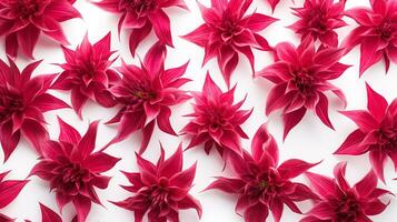 Bee Balm flower pattern background. Bee Balm flower background texture. Generative AI photo