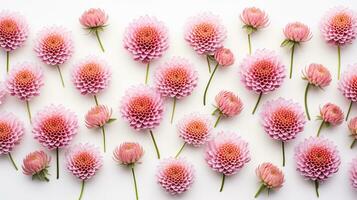 Everlasting flower patterned background. Flower texture background. Generative AI photo