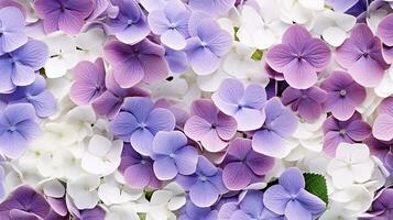 Hydrangea flower patterned background. Flower texture background. Generative AI photo