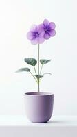 Photo of Balloon flower in pot isolated on white background. Generative AI