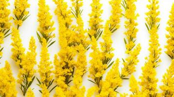 Goldenrod flower patterned background. Flower texture background. Generative AI photo