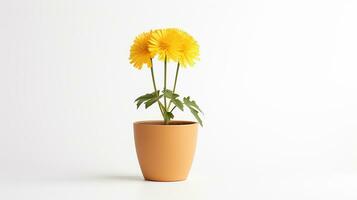 Photo of Dandelion flower in pot isolated on white background. Generative AI