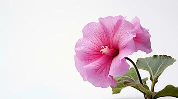 Photo of beautiful Gloxinia flower isolated on white background. Generative AI