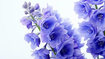 Photo of beautiful Delphinium flower isolated on white background. Generative AI