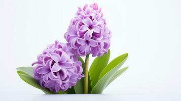 Photo of beautiful Hyacinth flower isolated on white background. Generative AI