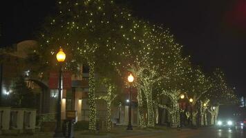 Dallas, Texas, 2023 - Beautiful Cute Colorful Christmas Lights Tree on The Street video