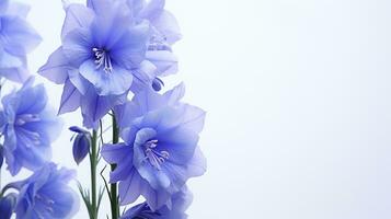 Photo of beautiful Delphinium flower isolated on white background. Generative AI