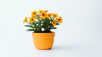 Photo of Wallflower in pot isolated on white background. Generative AI