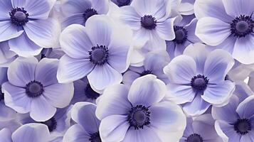 anemone flower pattern background. Flower background texture. Generative AI photo