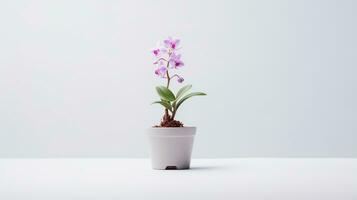 Photo of Monkey Orchid flower in pot isolated on white background. Generative AI