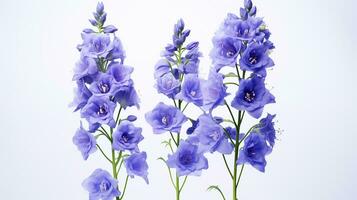 Photo of beautiful Delphinium flower isolated on white background. Generative AI