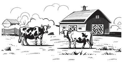 Cows grazing in the field on the background of the farm hand drawn sketch Vector illustration