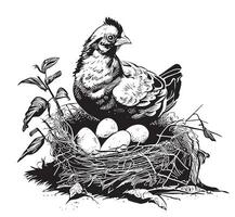 Hen sitting in the nest with eggs hand drawn sketch Vector illustration