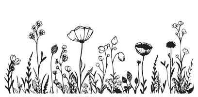 Grass wildflowers border sketch hand drawn sketch Vector illustration