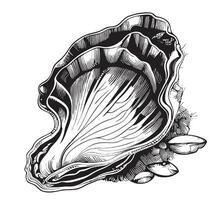 Oyster sea food sketch hand drawn in doodle style Vector illustration