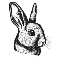 Conejo retrato mano dibujado bosquejo vector ilustración mascotas