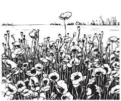 Poppy field sketch hand drawn in doodle style Vector illustration